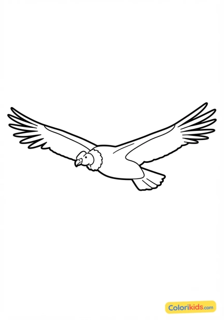 Coloriage à imprimer : condor des Andes planant en altitude