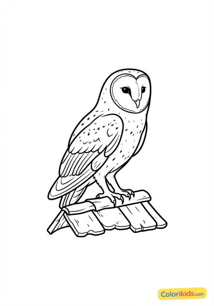 Coloriage à imprimer : chouette effraie posée sur un vieux toit