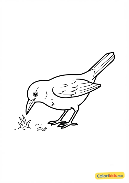 Coloriage à imprimer : merle noir cherchant des vers