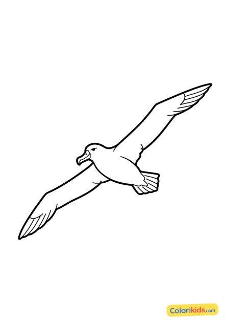 Coloriage à imprimer : albatros géant aux ailes déployées
