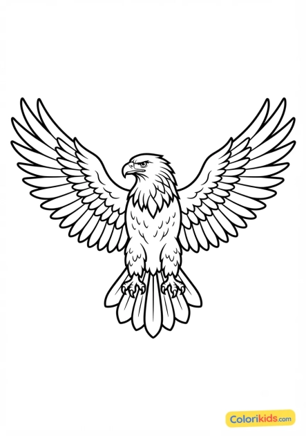 Coloriage à imprimer : aigle royal déployant ses ailes