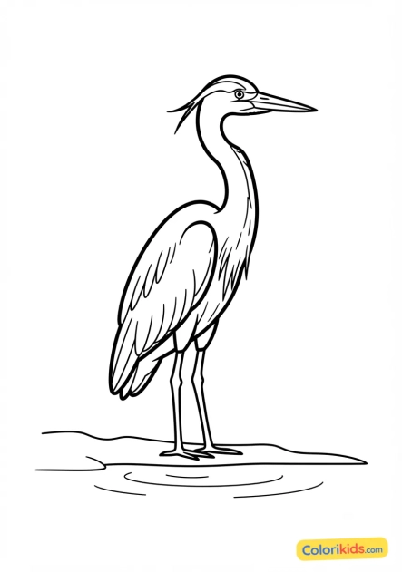 Coloriage à imprimer : héron cendré au bord d'un étang