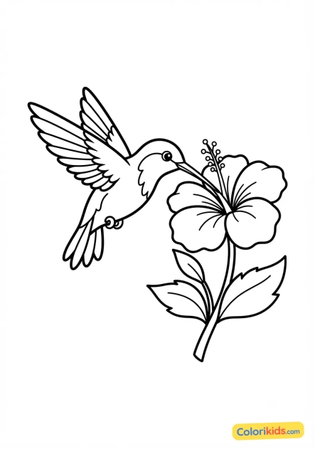 Coloriage à imprimer : colibri butinant une fleur exotique