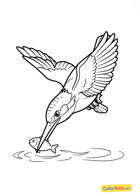 Coloriage à imprimer : martin-pêcheur plongeant pour un poisson