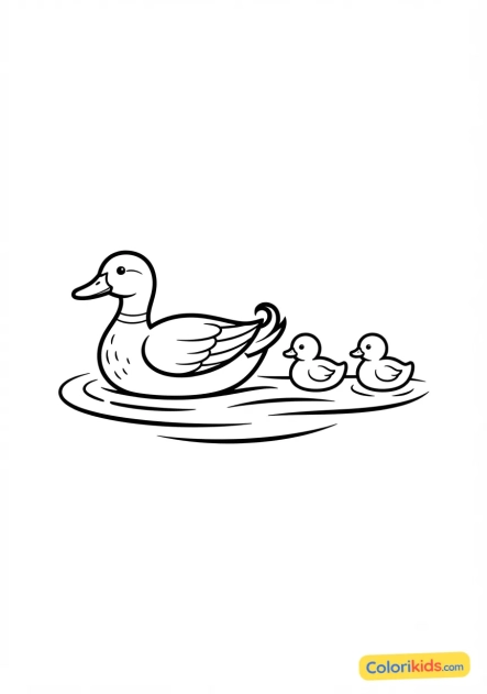 Coloriage à imprimer : canard colvert et ses canetons