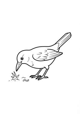 Voir le coloriage Merle noir cherchant des vers