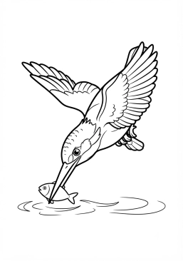 Voir le coloriage Martin-pêcheur plongeant pour un poisson