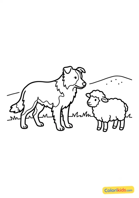 Dibujo para colorear para imprimir: border Collie pastoreando una oveja pequeña