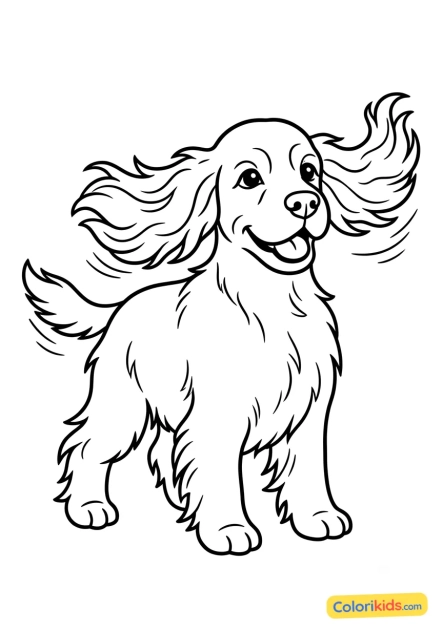Dibujo para colorear para imprimir: cocker Spaniel con orejas largas al viento