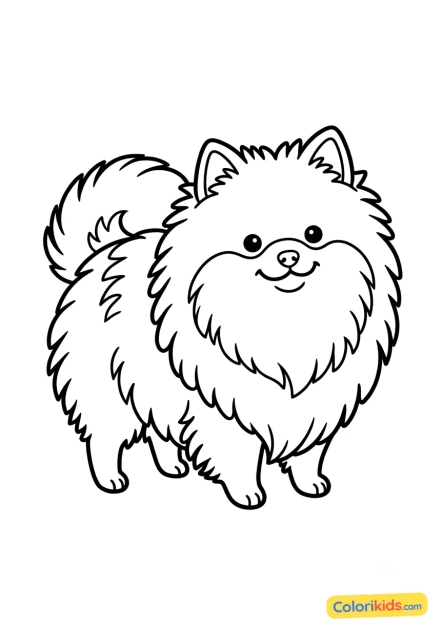 Dibujo para colorear para imprimir: spitz enano muy peludo