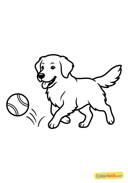 Ausmalbild zum Ausdrucken: golden Retriever läuft einem Ball hinterher