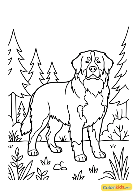 Ausmalbild zum Ausdrucken: majestätischer Berner Sennenhund im Wald