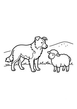 Dibujo para colorear Border Collie pastoreando una oveja pequeña