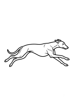 Dibujo para colorear Galgo elegante corriendo