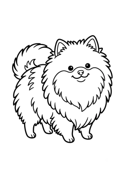 Dibujo para colorear Spitz enano muy peludo