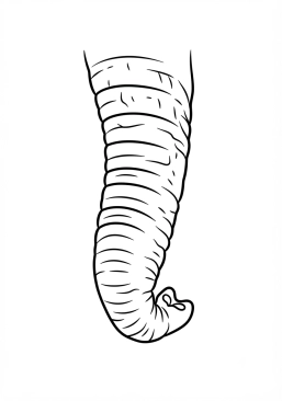 Voir le coloriage Gros plan sur la trompe d'un éléphant