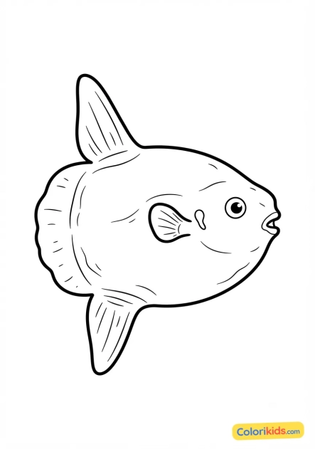 Coloriage à imprimer : poisson-lune géant et plat (Mola mola)