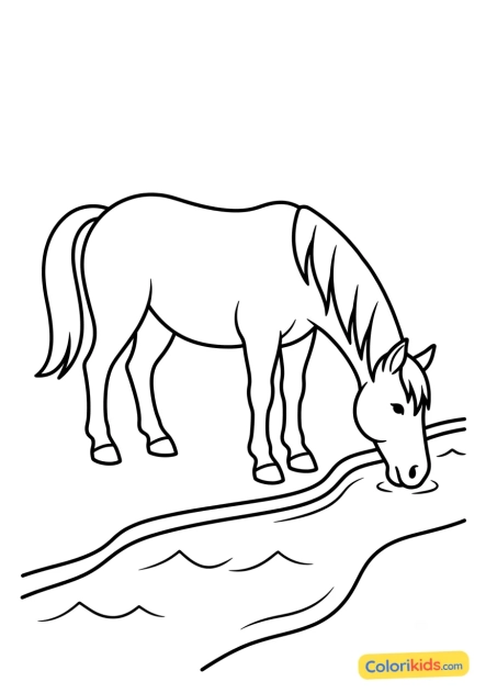 Ausmalbild zum Ausdrucken: pferd trinkt aus einem Fluss