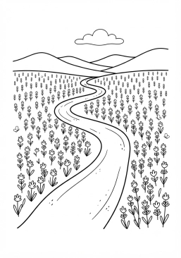 Voir le coloriage Chemin sinueux traversant un champ de lavande en fleurs