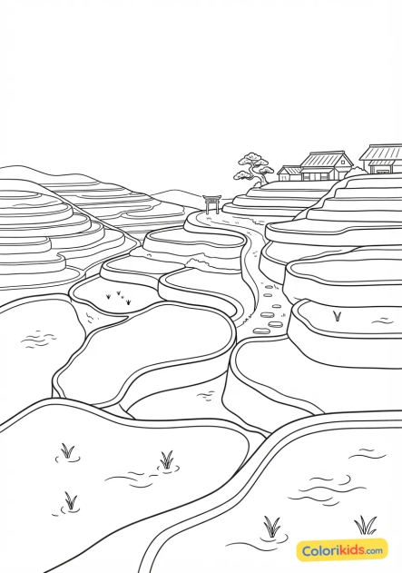 Coloriage à imprimer : rizières en terrasses verdoyantes sur les flancs de collines d'une campagne nippone