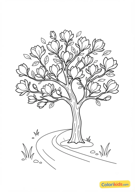 Coloriage à imprimer : magnolia en fleurs au bord d'un chemin