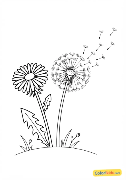 Coloriage à imprimer : fleurs de pissenlit et graines prêtes à s'envoler