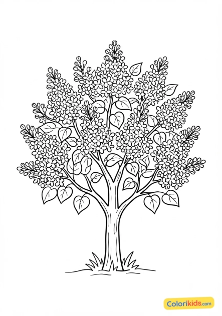 Coloriage à imprimer : arbuste de lilas en fleurs parfumées