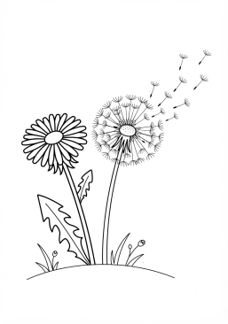 Voir le coloriage Fleurs de pissenlit et graines prêtes à s'envoler