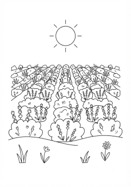 Voir le coloriage Champ de lavande sous un doux soleil printanier