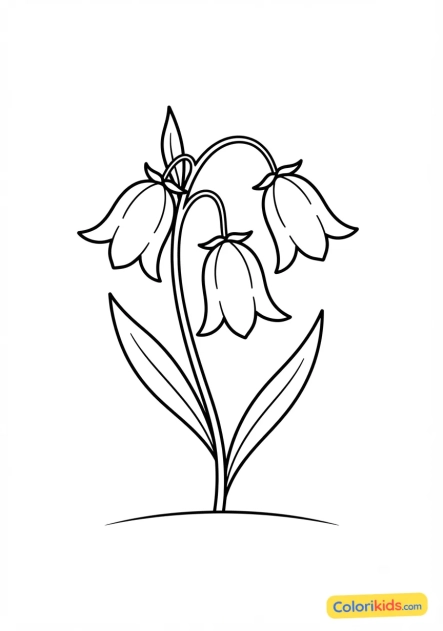 Coloriage à imprimer : fleur de campanule en forme de cloche