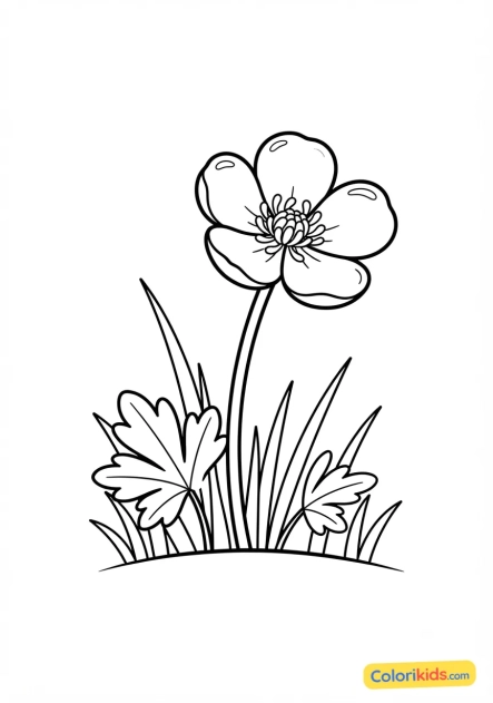 Coloriage à imprimer : bouton d'or dans l'herbe