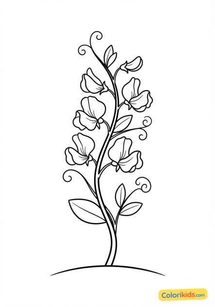 Coloriage à imprimer : fleur de pois de senteur grimpante