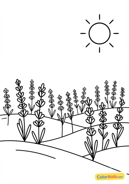 Coloriage à imprimer : lavande odorante dans un champ