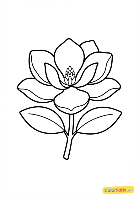 Coloriage à imprimer : fleur de magnolia