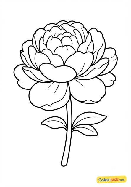 Coloriage à imprimer : pivoine volumineuse et douce