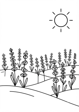 Coloriage Lavande odorante dans un champ