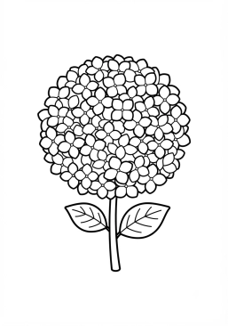 Coloriage Hortensia avec ses grappes rondes