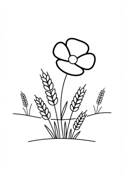 Coloriage Coquelicot dans un champ de blé