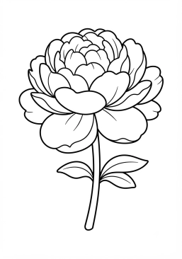 Coloriage Pivoine volumineuse et douce