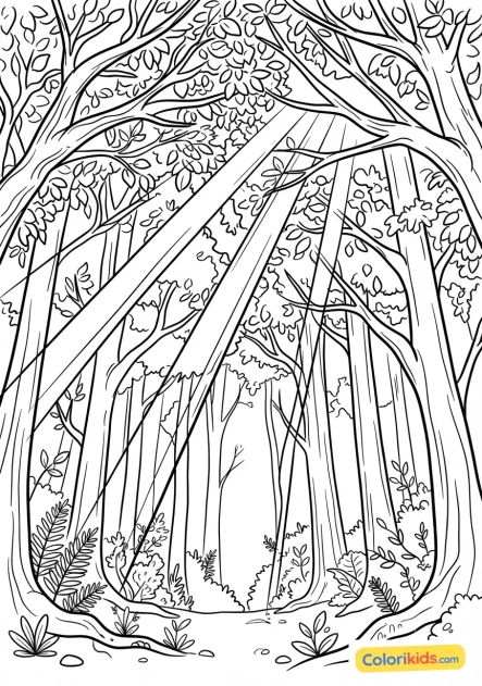 Coloriage à imprimer : rayons de soleil filtrant à travers la canopée d'une forêt dense