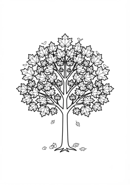 Voir le coloriage Feuillage flamboyant d'un érable rouge au coeur de la forêt