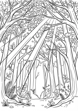 Voir le coloriage Rayons de soleil filtrant à travers la canopée d'une forêt dense