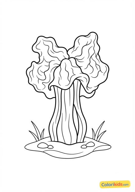 Coloriage à imprimer : girolle améthyste