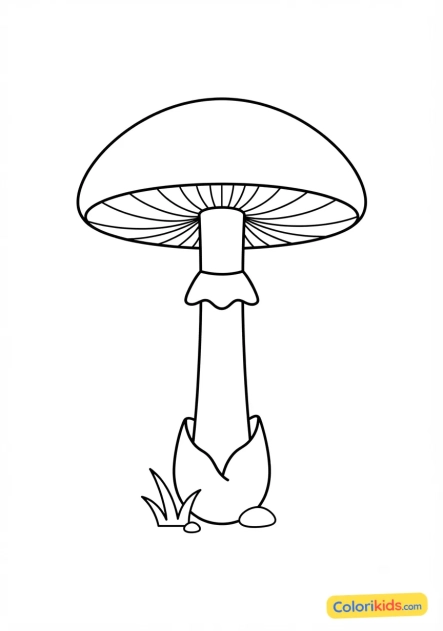 Coloriage à imprimer : amanite phalloïde