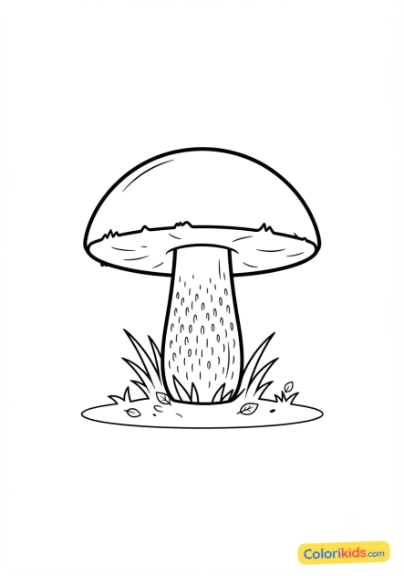 Coloriage à imprimer : bolet orangé à chapeau roux