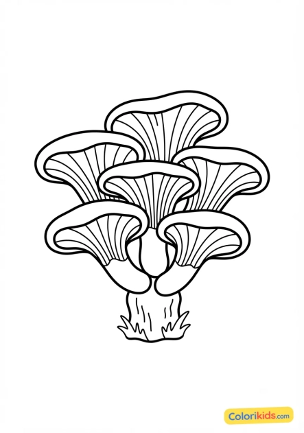 Coloriage à imprimer : pleurote en forme d'huître