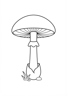 Coloriage Amanite phalloïde