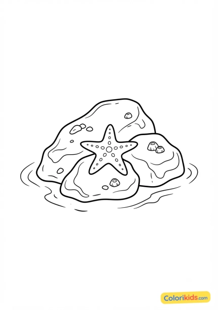 Coloriage à imprimer : petite étoile de mer reposant sur les rochers mouillés