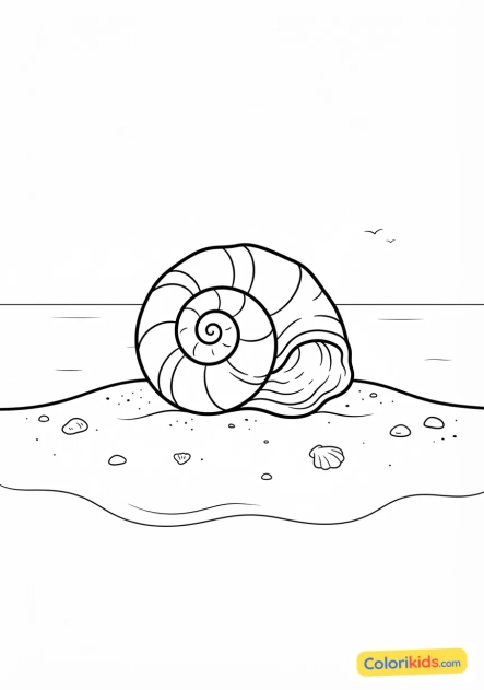 Coloriage à imprimer : coquillage spiralé posé délicatement sur le rivage