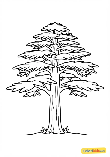 Coloriage à imprimer : cèdre imposant
